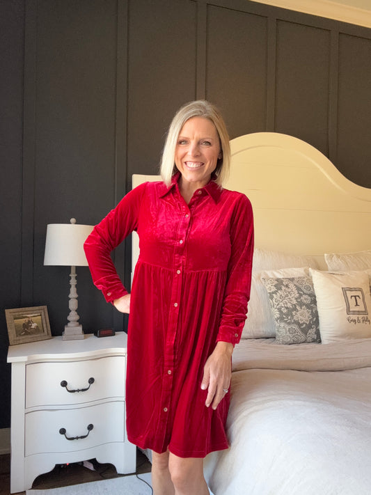 Mrs. Clause Velvet Dress